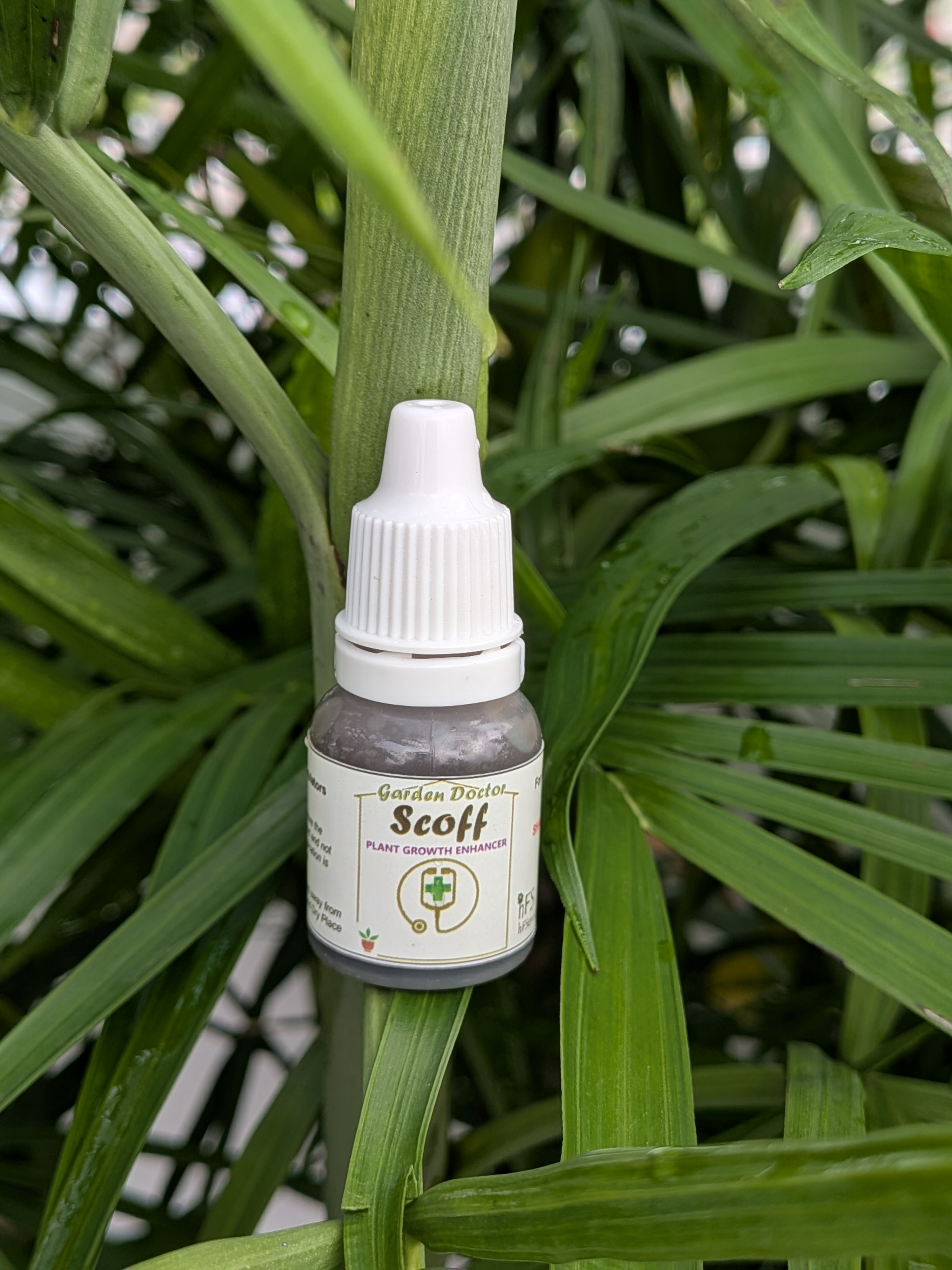 SCOFF (10 ml) - Plant Growth Enhancer (Pack of 2) Shipping free